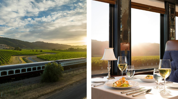 Napa Valley Wine Trainy