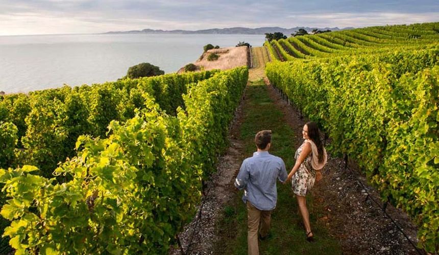 Picton - Christchurch