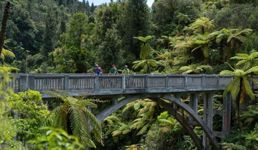 Wellington to Auckland