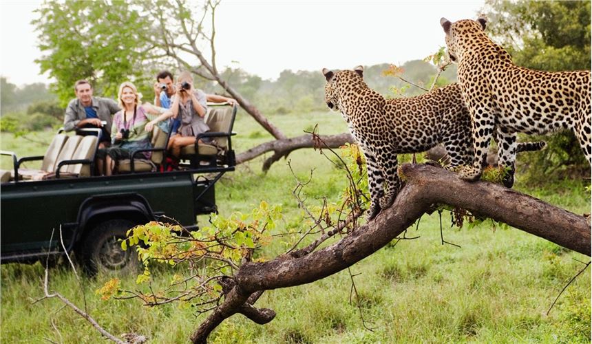 Durban Safari (Pretoria - Durban or vice versa)