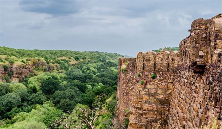 Treasures of India