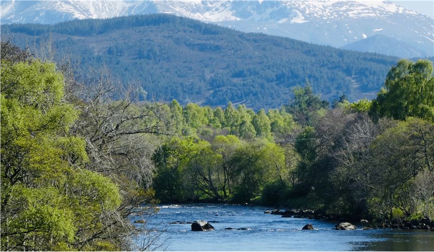 Taste Of The Highlands (2 Nights)