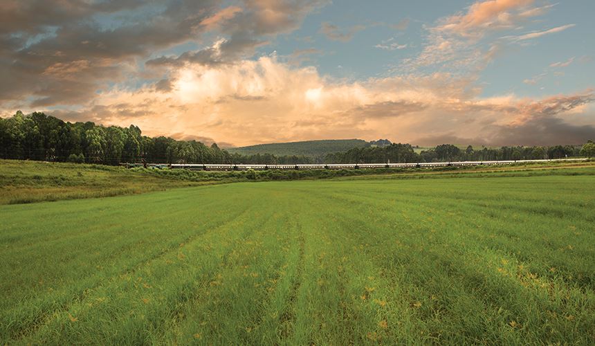 Durban Safari (Pretoria - Durban or vice versa)