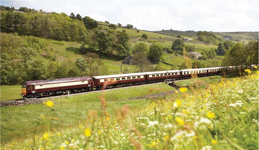 Northern Belle
