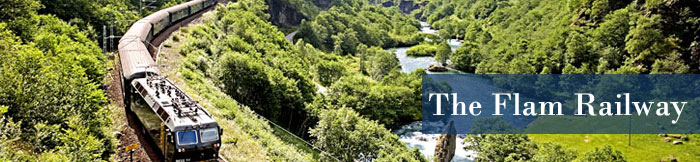 The Flam Railway